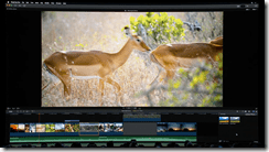 ice_screenshot_20190604-033307